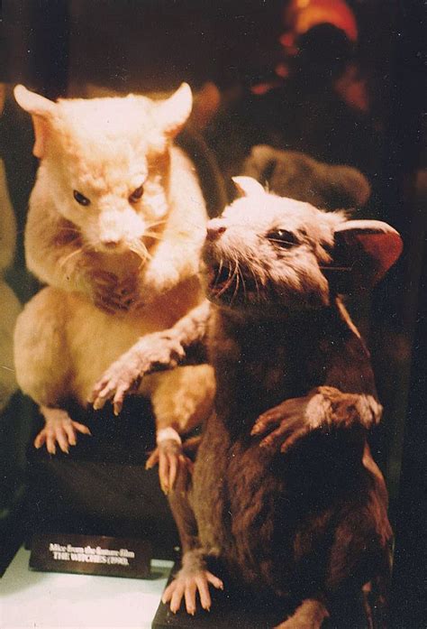 The role of mice in spellcasting and potion-making in witchcraft